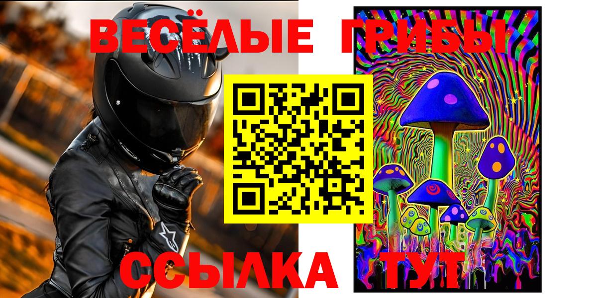 Галлюциногенные грибы MAGIC MUSHROOMS  Вход с VPN  Пушкино  наркотики  Псилоцибиновые грибы мицелий 