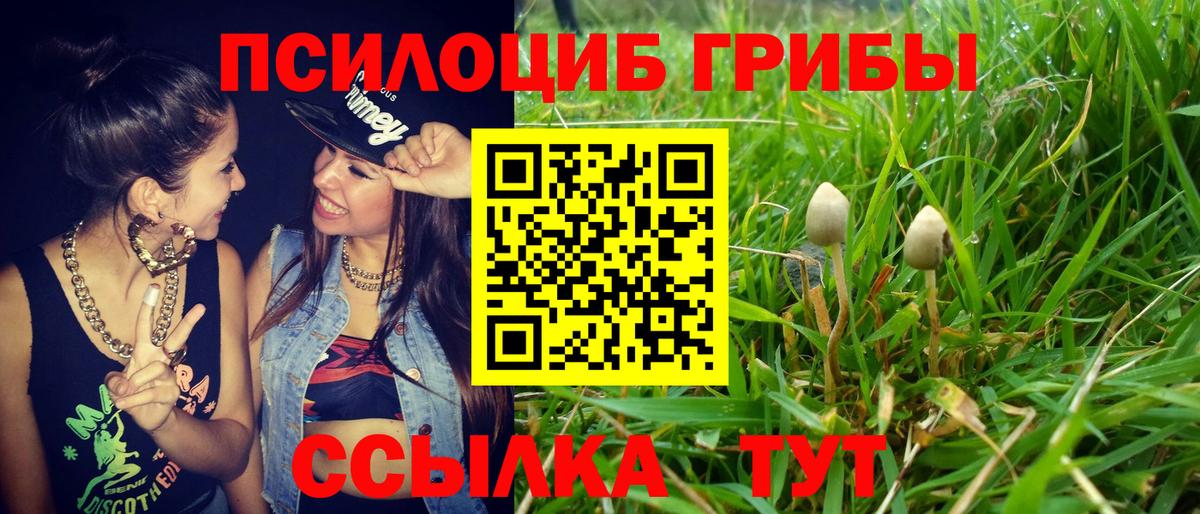 Галлюциногенные грибы Magic Shrooms Пушкино