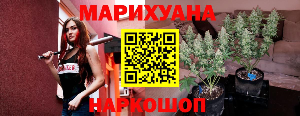 Шишки марихуана конопля  Вход с VPN  Пушкино  Конопля Bruce Banner 